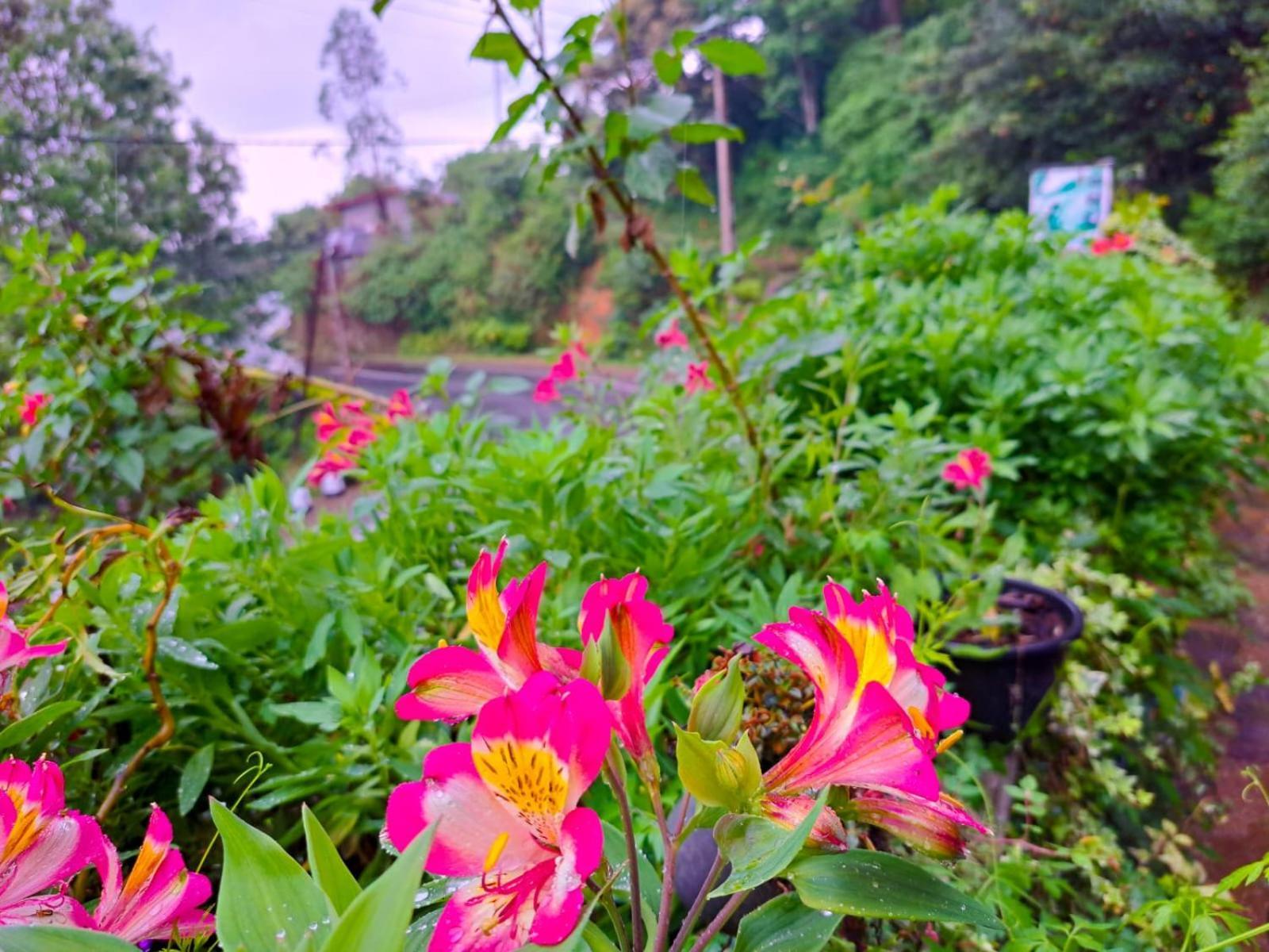 Awinco Haputale Hotel ห้อง รูปภาพ